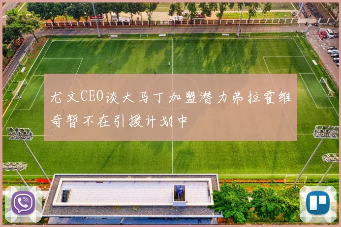 尤文CEO谈大马丁加盟潜力弗拉霍维奇暂不在引援计划中